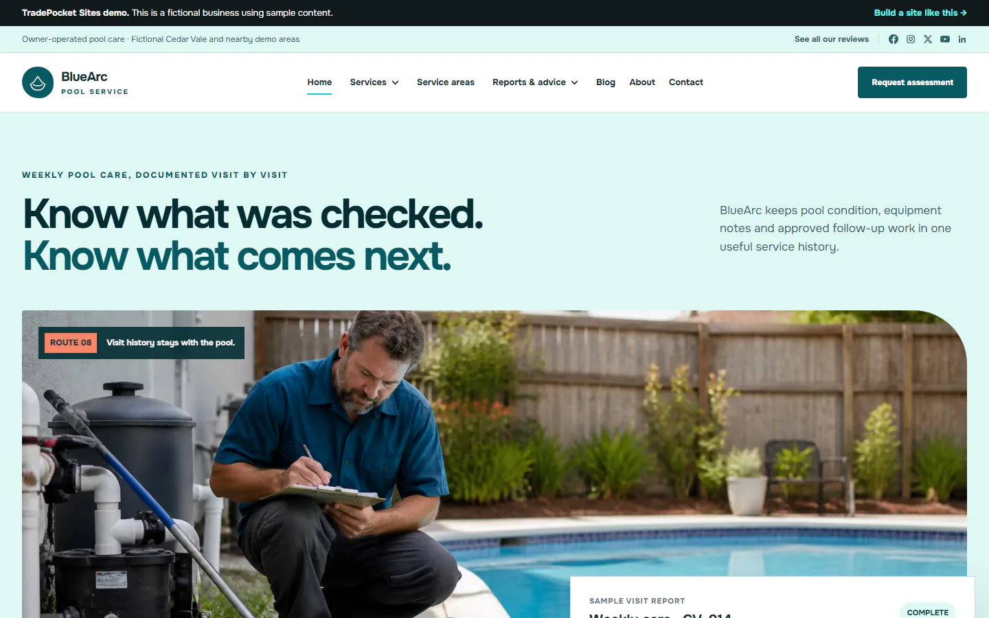 BlueArc Pool Service website example